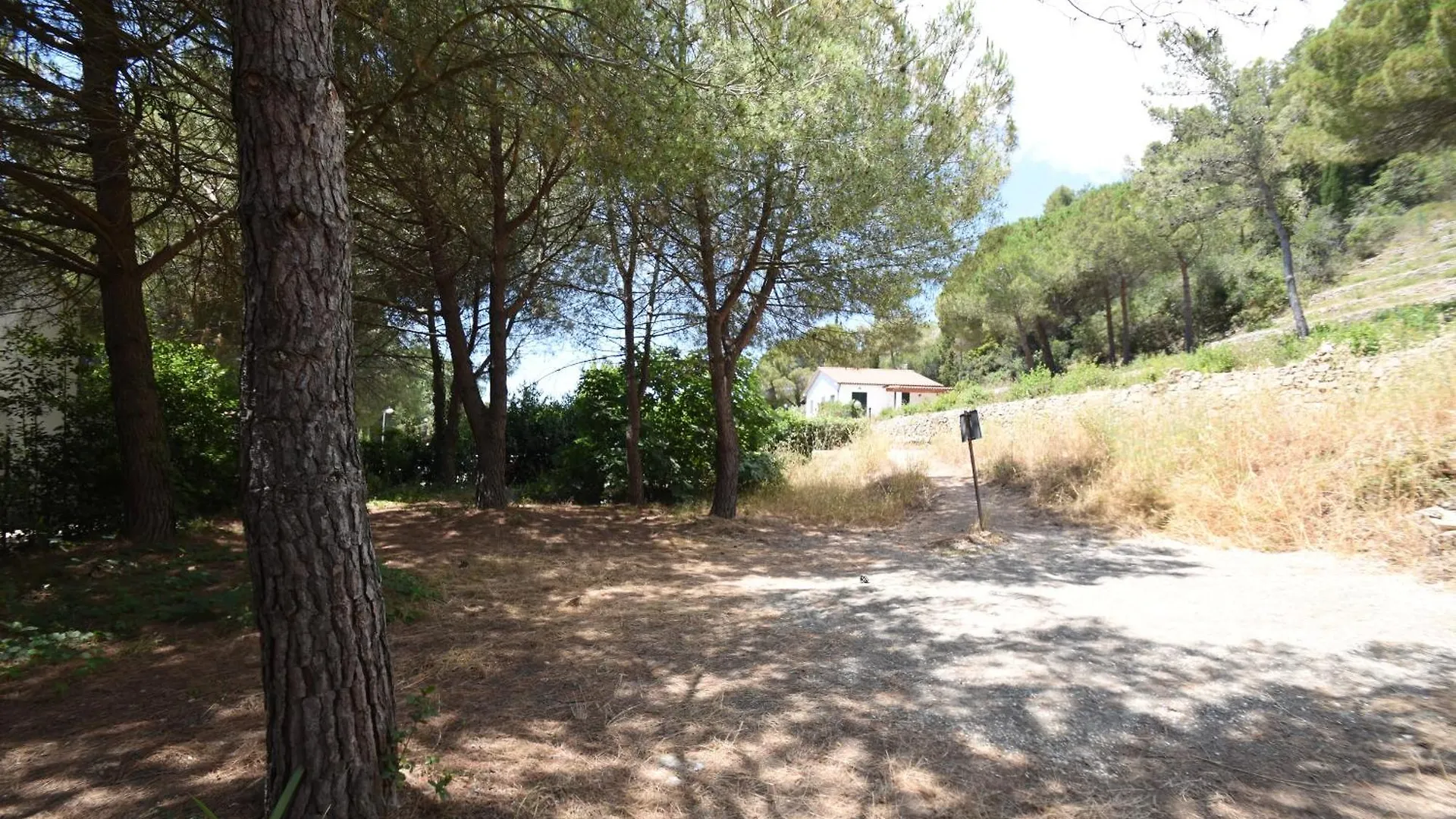 Apartament Villino Ginestra - Zona Mare Con Giardino Marina di Campo
